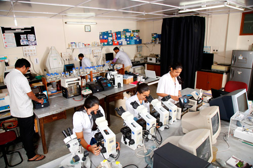 Lab Image 3