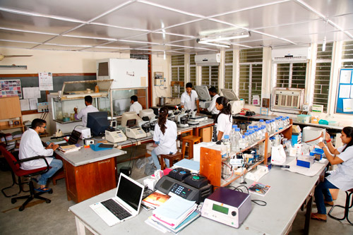 Lab Image 4