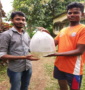 Distribution of fish seed to the fish farmer