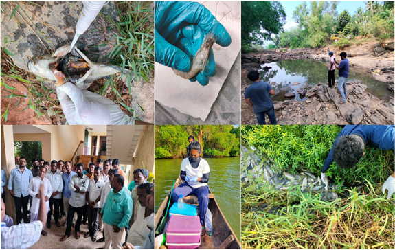 Training session in Aquatic Animal Health Management